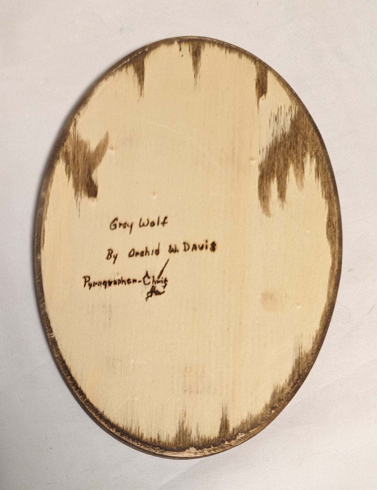 Art Handmade on Oval Wood " Gray Wolf Face" Credited and signed