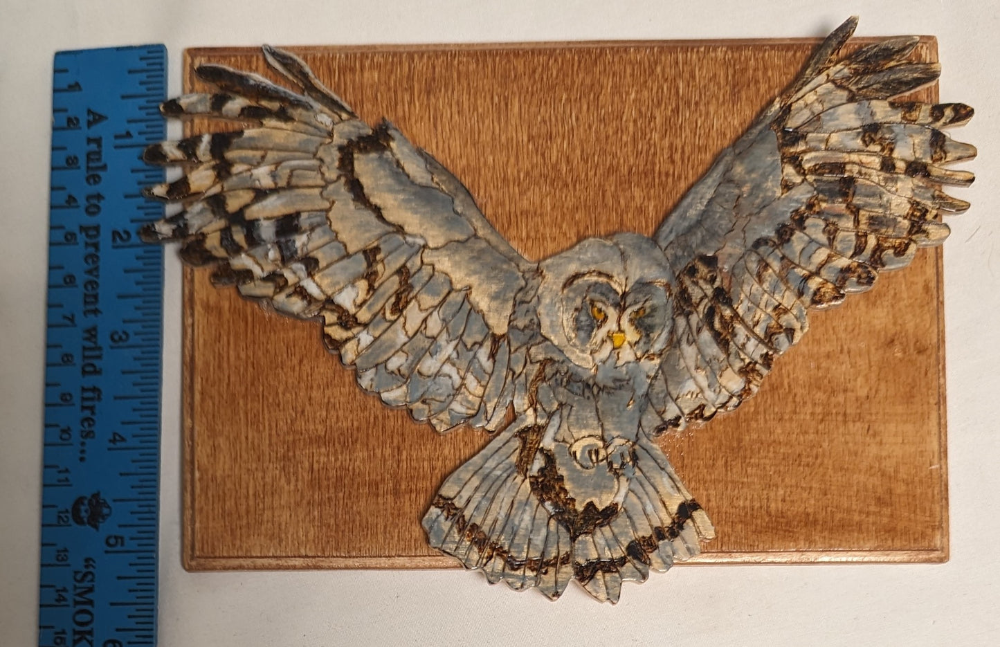 Art Handmade Pyrography Scroll Work Color filled layed on wood " Grey Owl Flying"