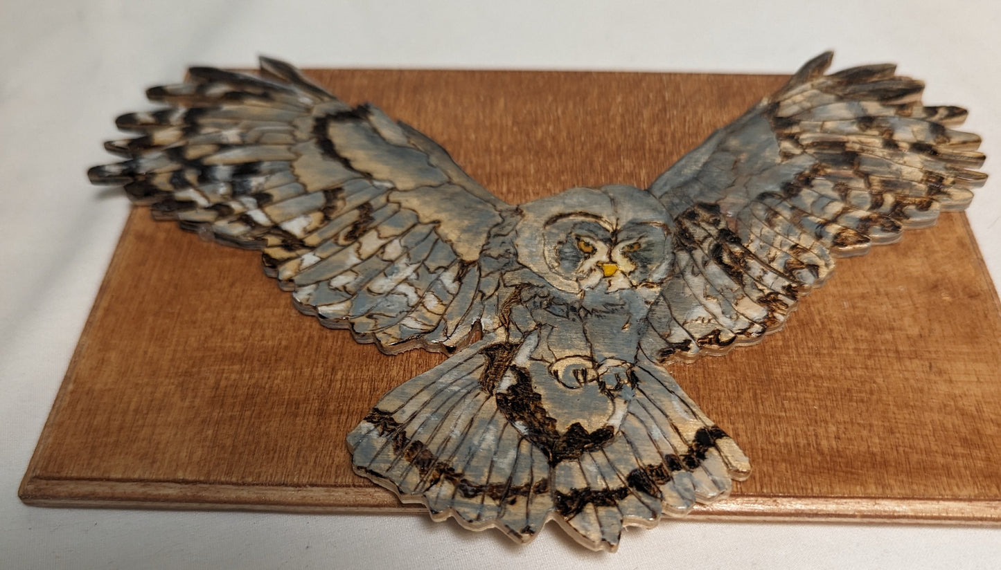 Art Handmade Pyrography Scroll Work Color filled layed on wood " Grey Owl Flying"