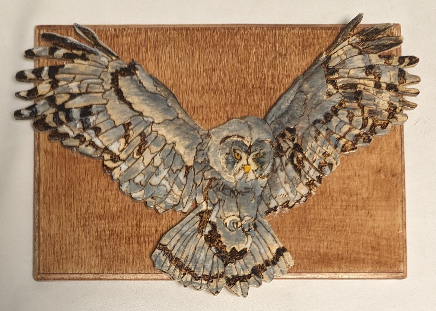Art Handmade Pyrography Scroll Work Color filled layed on wood " Grey Owl Flying"
