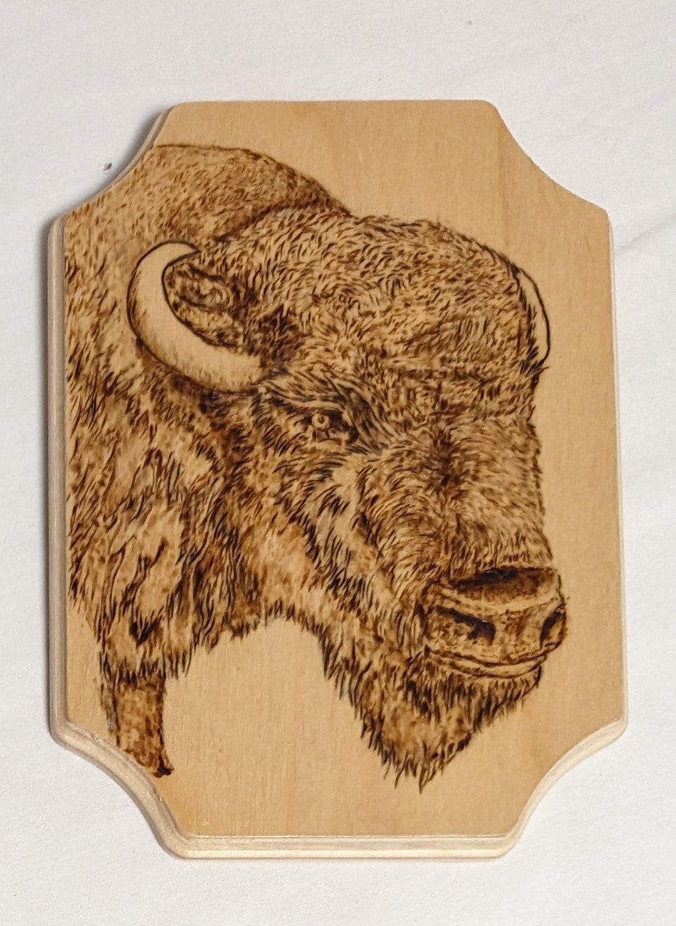 Art Pyrography on wood Buffalo Head credited and signed