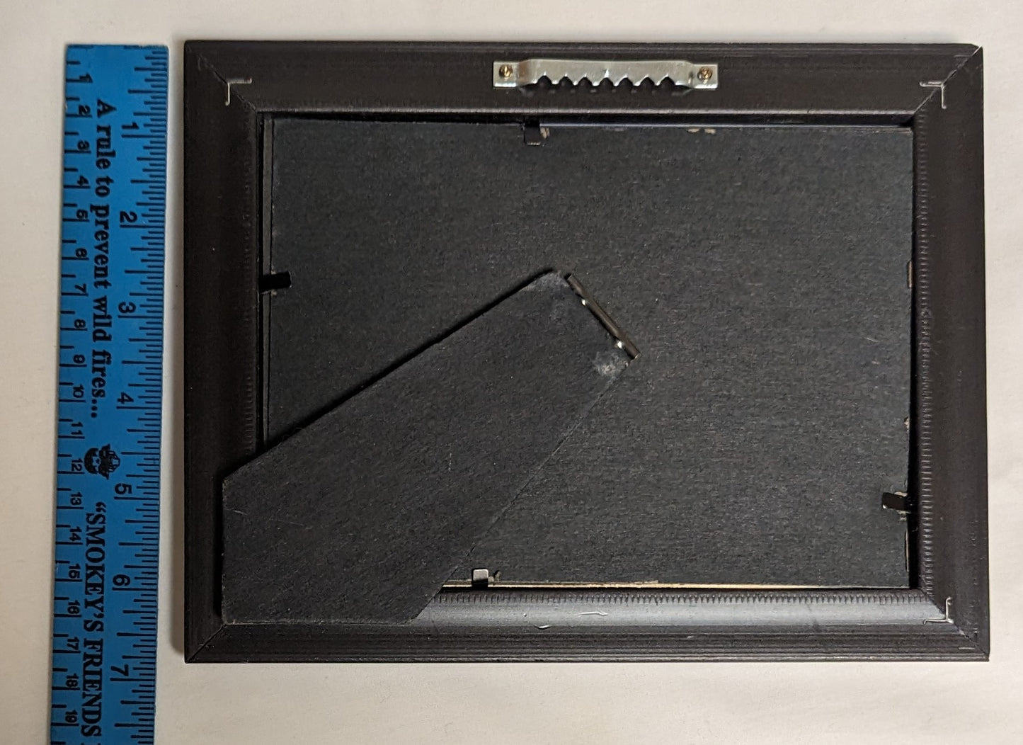 Art Pyrography and Scroll Saw on wood Moutain Lion and Eagle in frame