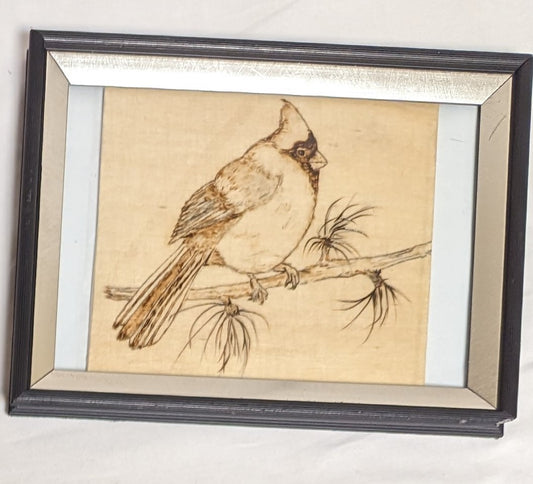 Art Pyrography on wood Cardinal on limb in Frame