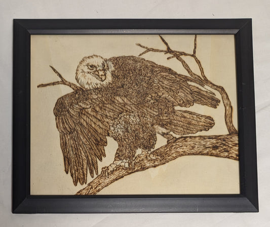 Art Vintage Hand Pyrography Colored " Bald Eagle "  Framed
