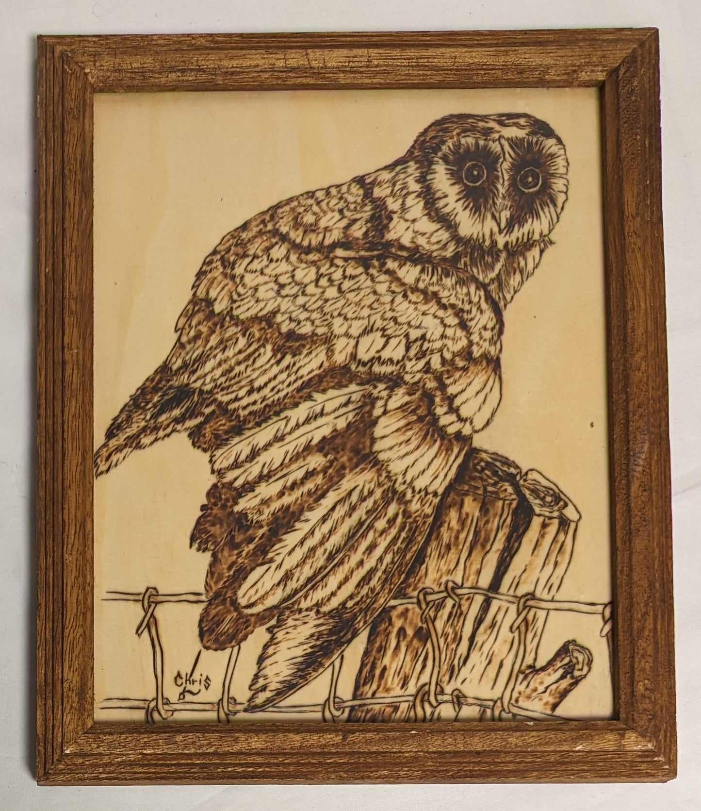 Art Vintage Hand Pyrography wood  " Owl on Fence post"  Framed