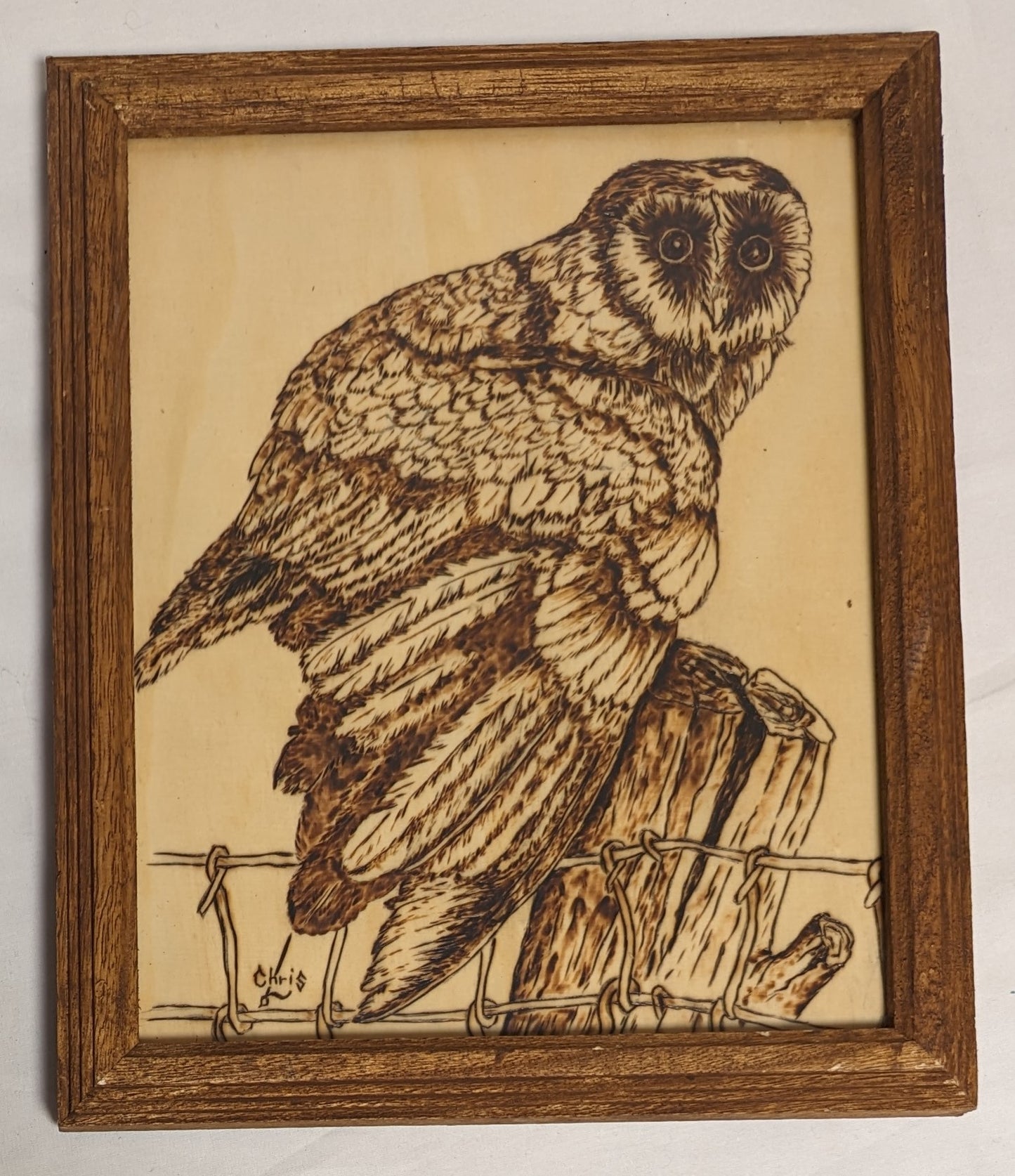 Art Vintage Hand Pyrography wood  " Owl on Fence post"  Framed
