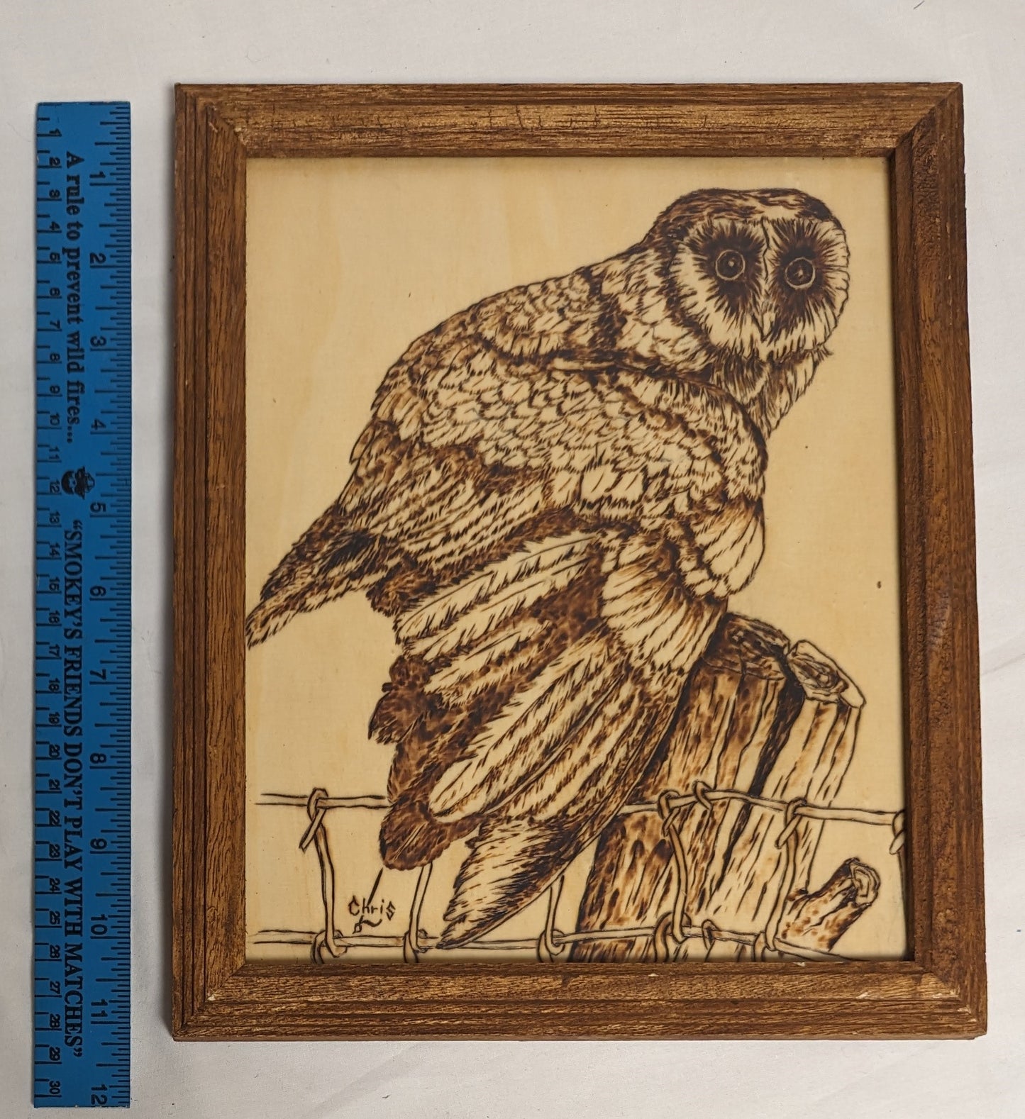 Art Vintage Hand Pyrography wood  " Owl on Fence post"  Framed