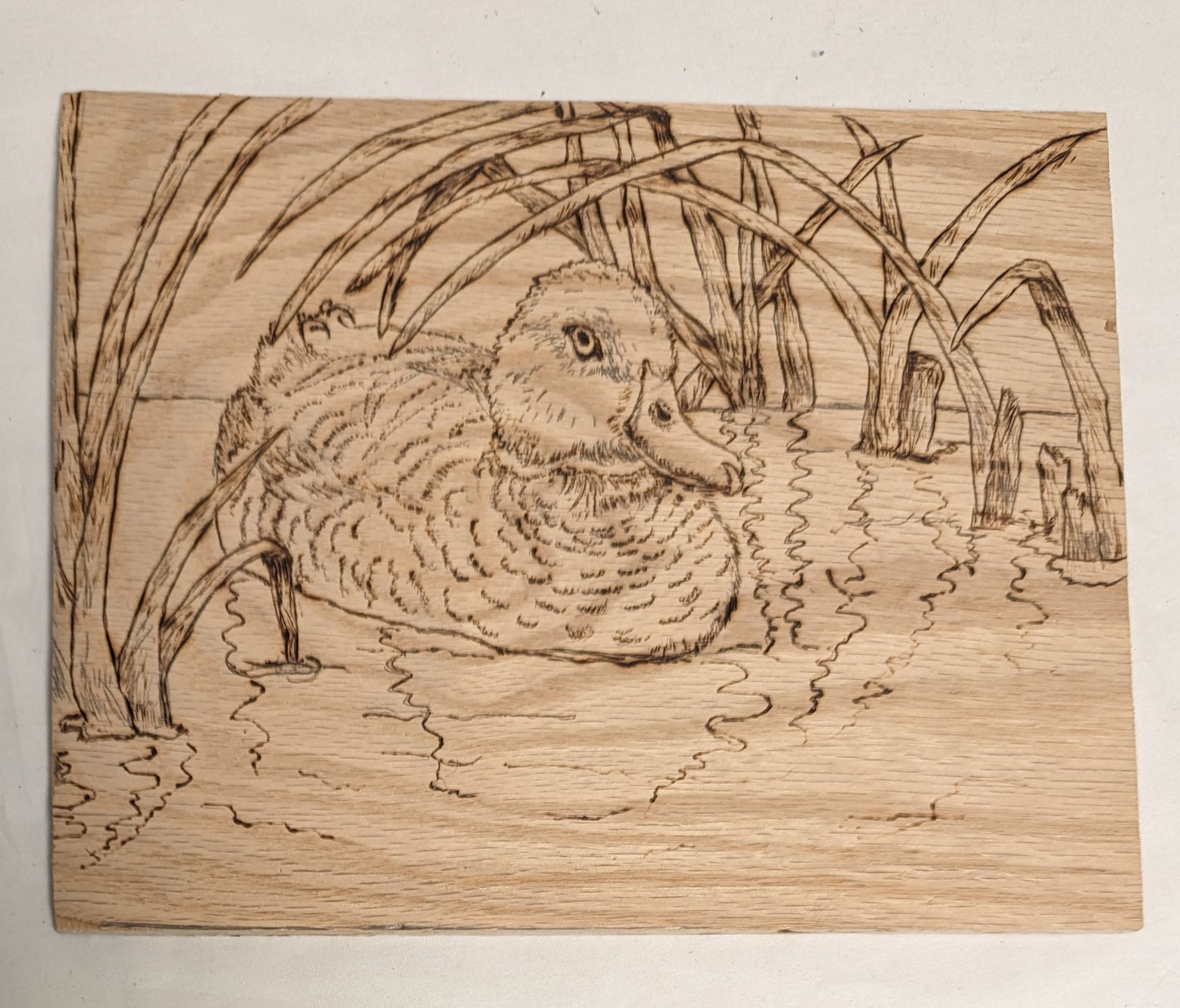 Art Handmade Pyrography on wood "Duck In Cattails"