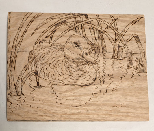 Art Handmade Pyrography on wood "Duck In Cattails"