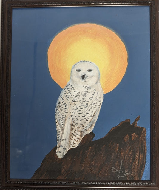 Art Hand Painted on Canvas board in frame under glass " Grey Owl in Moonlight"