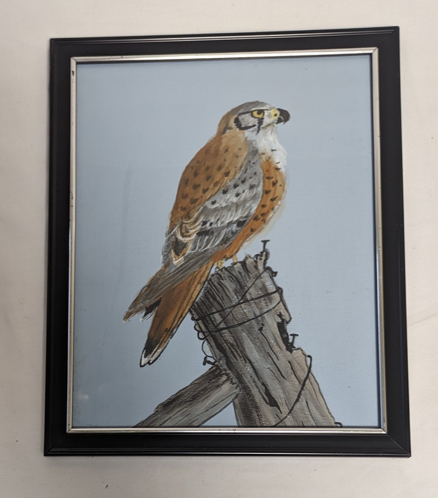 Art Hand Painted on Canvas board in frame under glass " Kestrel on Post"