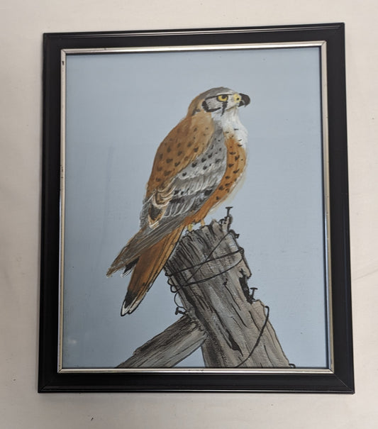 Art Hand Painted on Canvas board in frame under glass " Kestrel on Post"