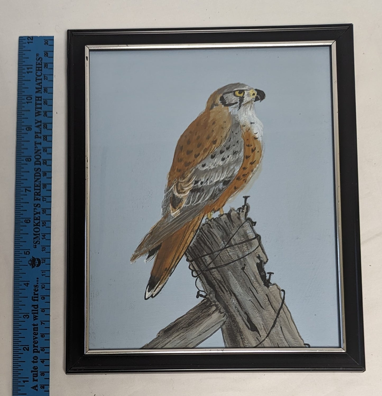 Art Hand Painted on Canvas board in frame under glass " Kestrel on Post"
