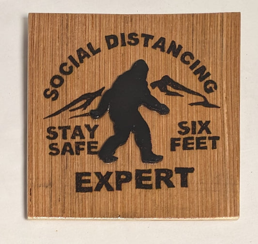 Art Hand Pyrography Burned and Scroll Sawn Cutout Layered  Emblem " Sasquatch"  in frame under glass