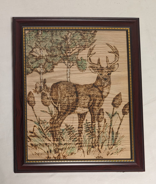 Art Handmade Pyrography on wood  " Buck in Forrest"  in frame under glass