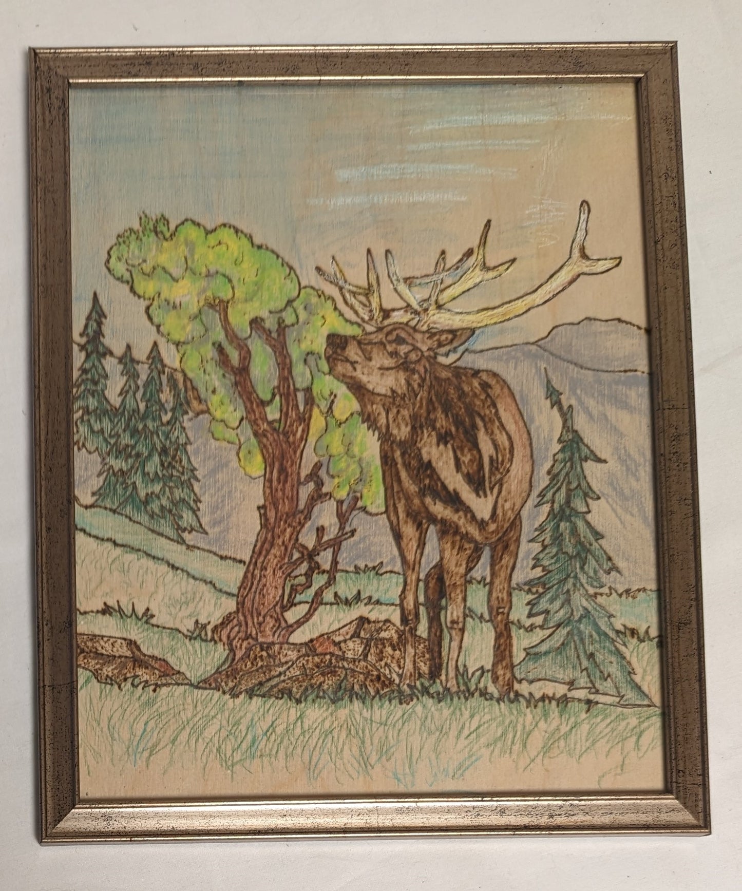 Art Handmade Pyrography Painted on wood board  " Elk on Range"  in frame under glass