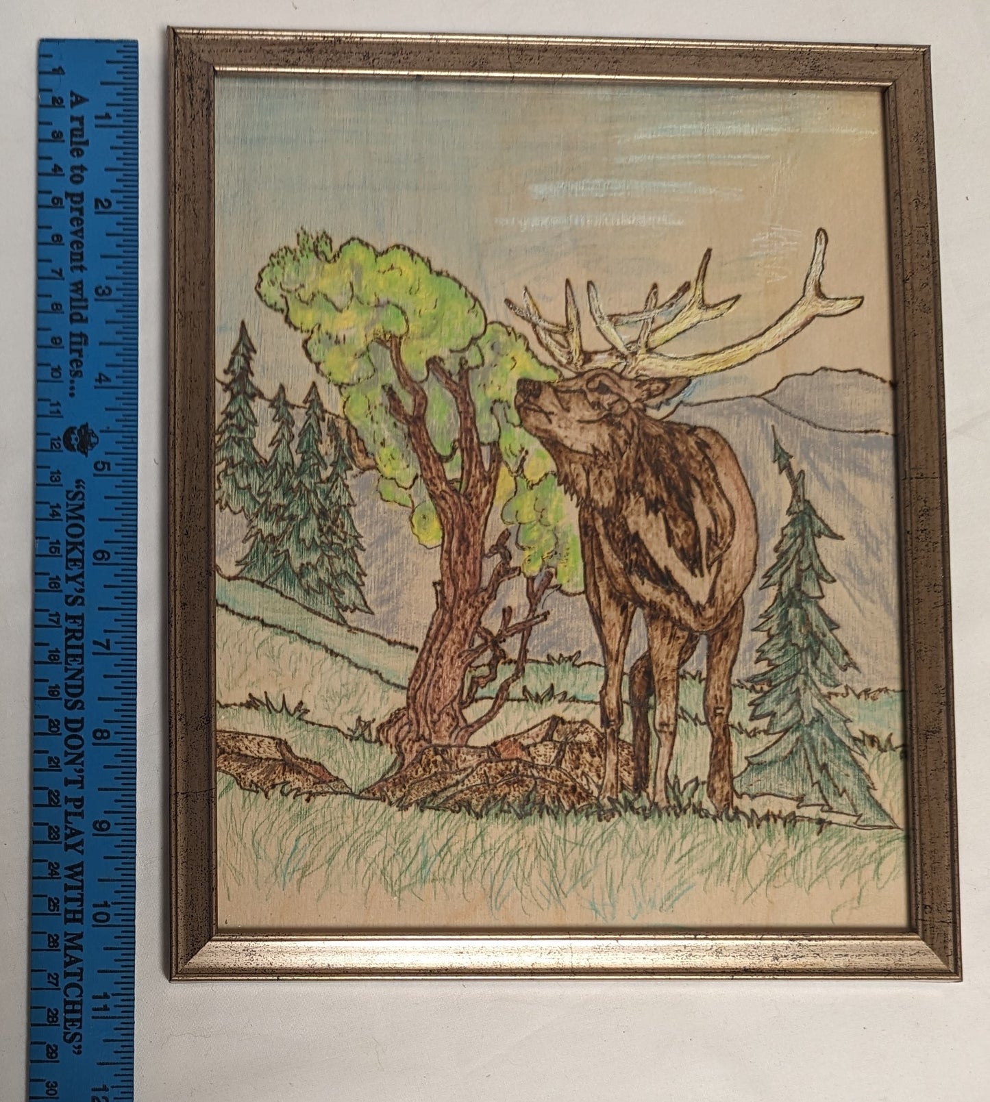 Art Handmade Pyrography Painted on wood board  " Elk on Range"  in frame under glass