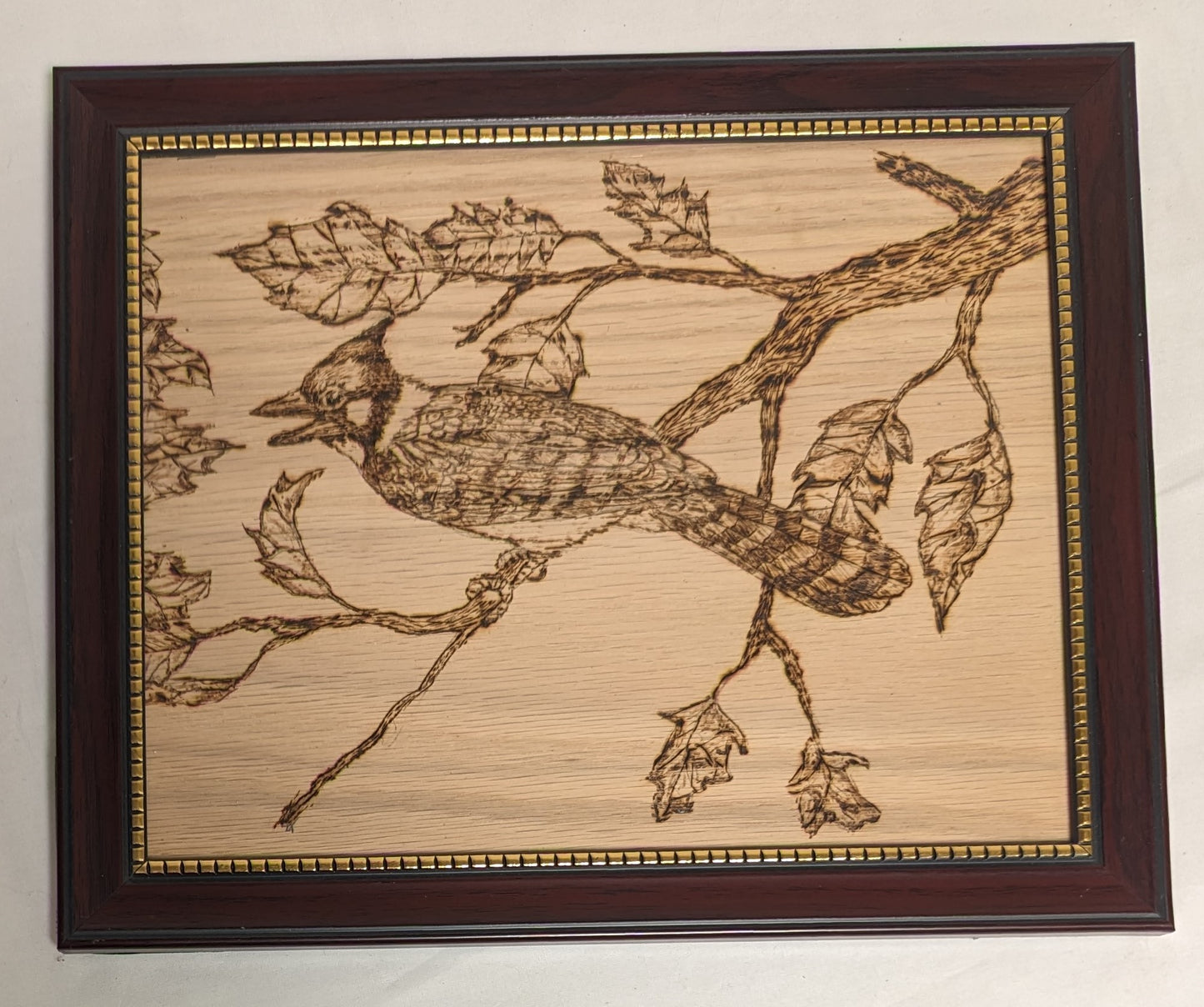 Art Handmade Pyrography on wood " Blue Jay on Branch"  in frame under glass
