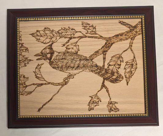 Art Handmade Pyrography on wood " Blue Jay on Branch"  in frame under glass