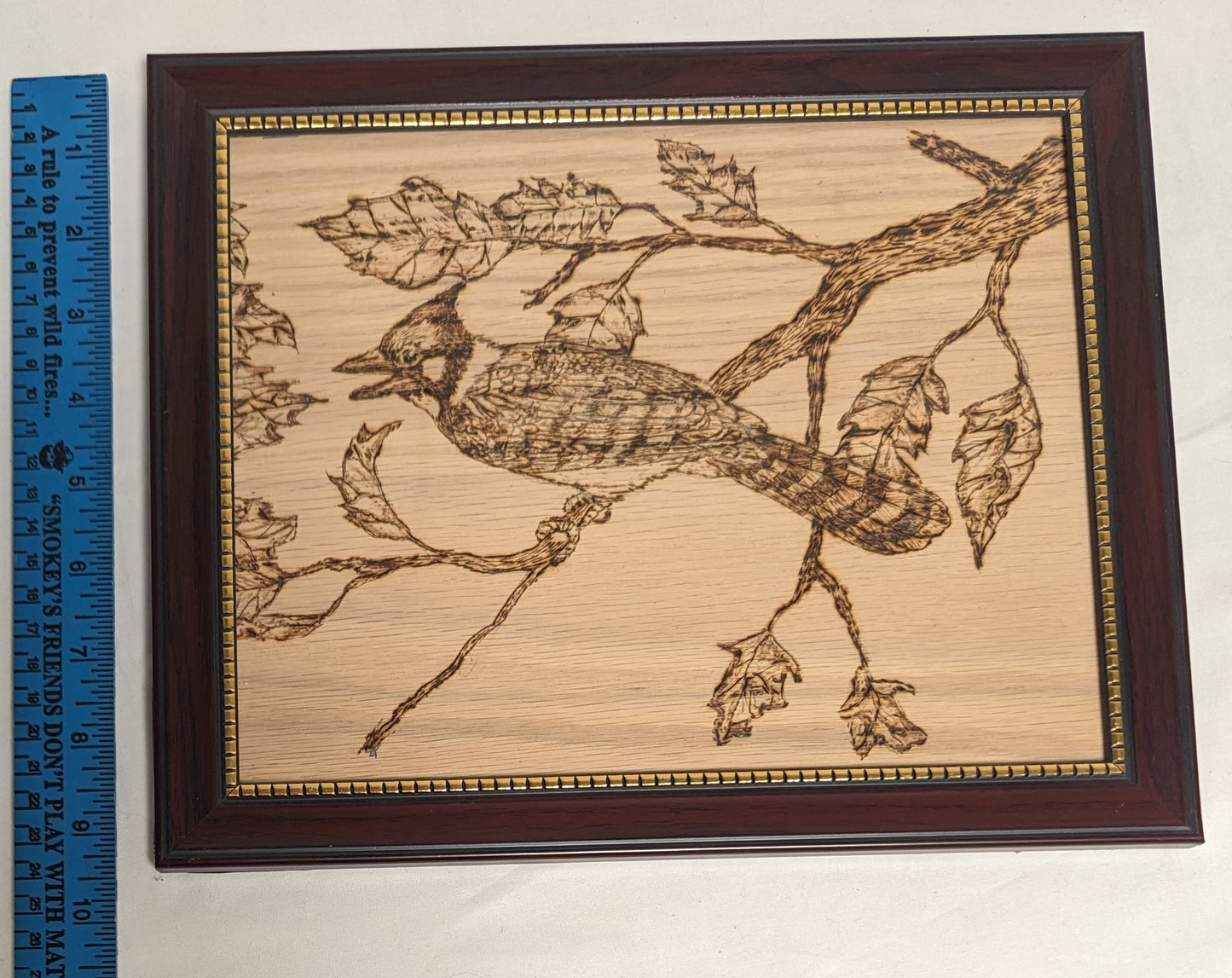 Art Handmade Pyrography on wood " Blue Jay on Branch"  in frame under glass