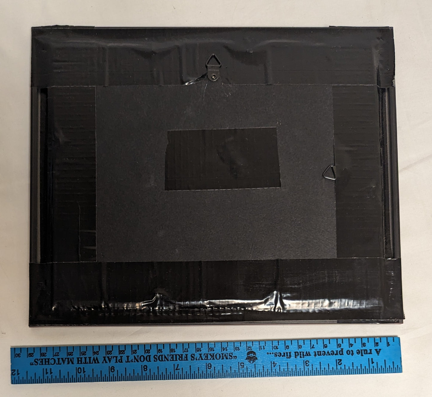 Art Handmade Pyrography on wood " Blue Jay on Branch"  in frame under glass