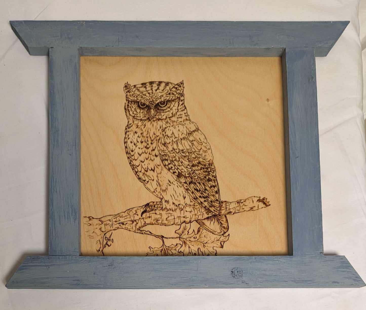 Art Hand made Pyrography on wood in custom Frame ' Owl On Branch" 1/3 Credited and autographed