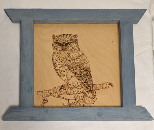Art Hand made Pyrography on wood in custom Frame ' Owl On Branch" 1/3 Credited and autographed