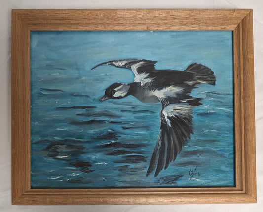 Art Vintage Oil Painting in frame " Bufferhead Duck in flight"