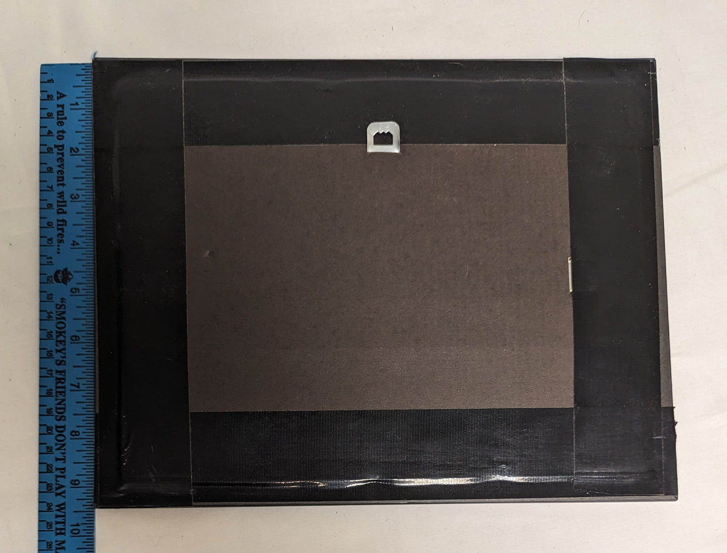 Art Vintage Rare Pyrography Burned in wood " Racoon " in frame under glass `