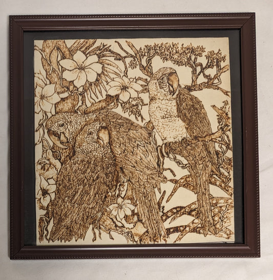 Art Vintage Handmade Pyrography on wood " Parrots in a Tree"  in frame under glass Credited and Autogrphed