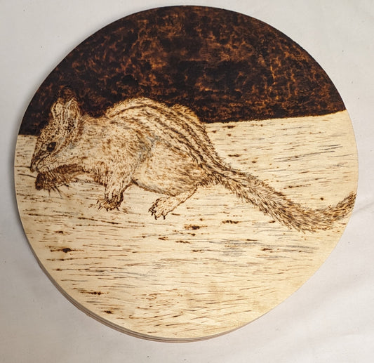 Art Handmade Pyrography on thick wood. Nosey Squirrl" wall hanging