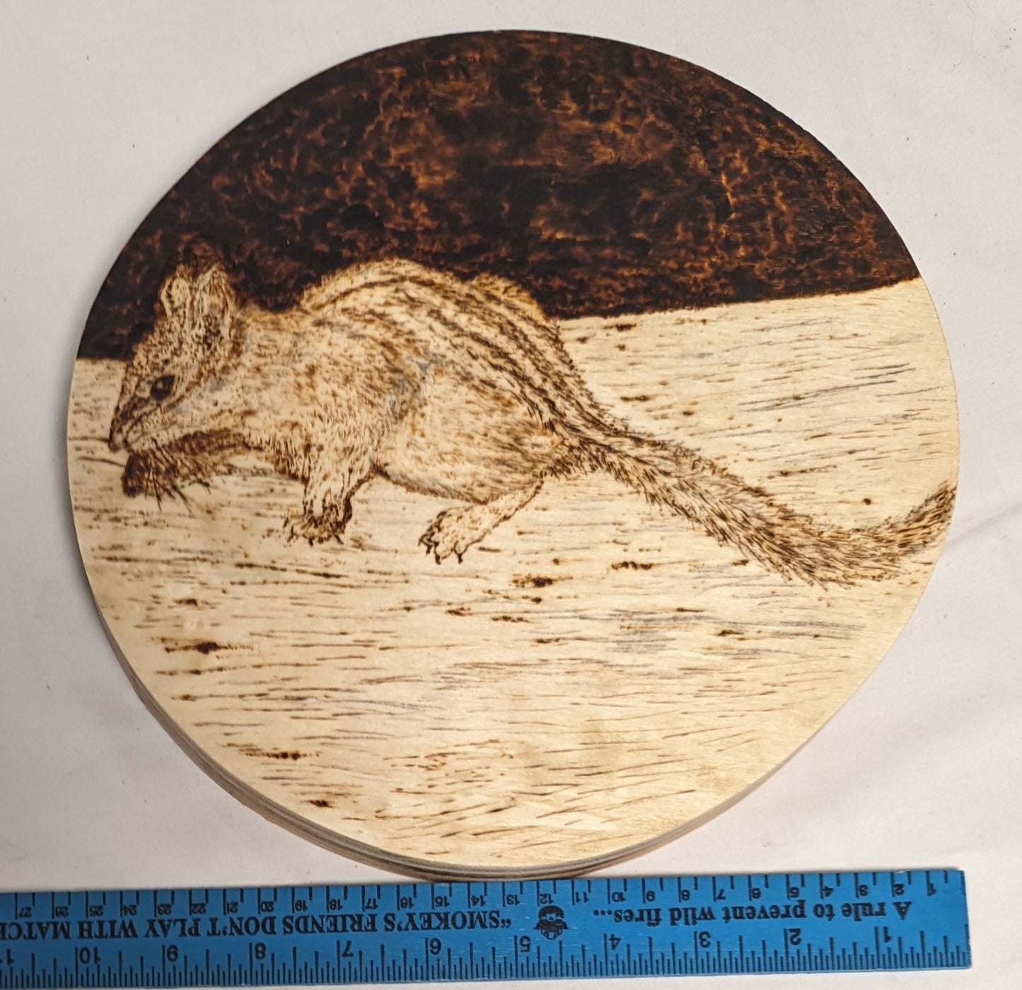 Art Handmade Pyrography on thick wood. Nosey Squirrl" wall hanging