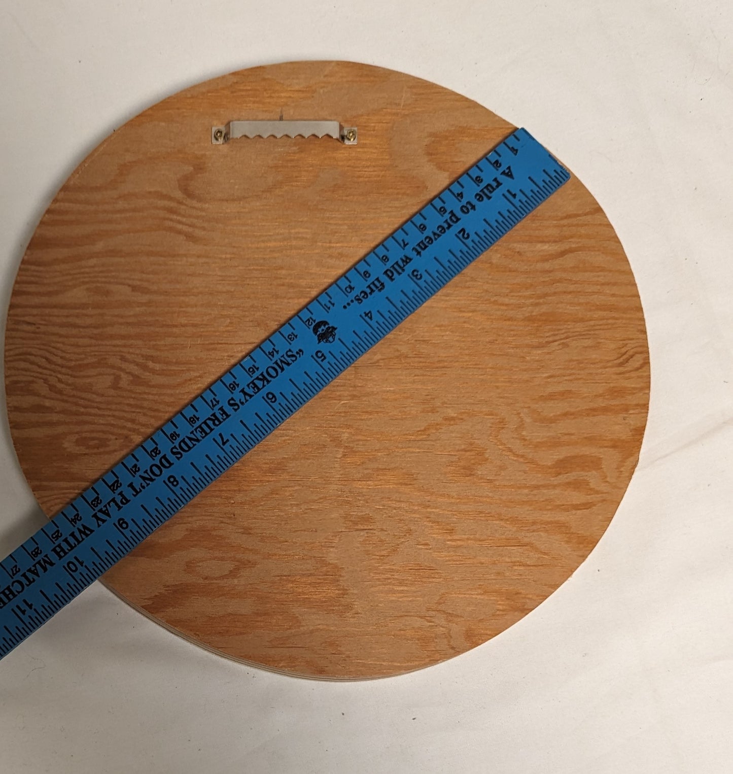 Art Handmade Pyrography on thick wood. Nosey Squirrl" wall hanging