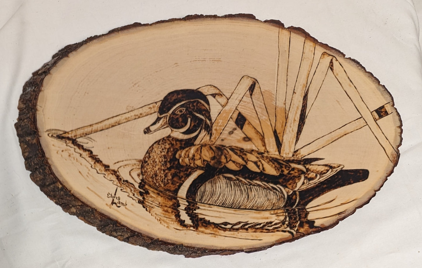 Art Rare Handmade Pyrography on live edge wood " Wood Duck" wall hanging Autographed