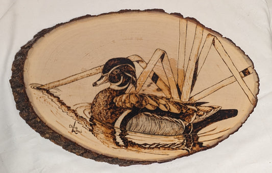 Art Rare Handmade Pyrography on live edge wood " Wood Duck" wall hanging Autographed