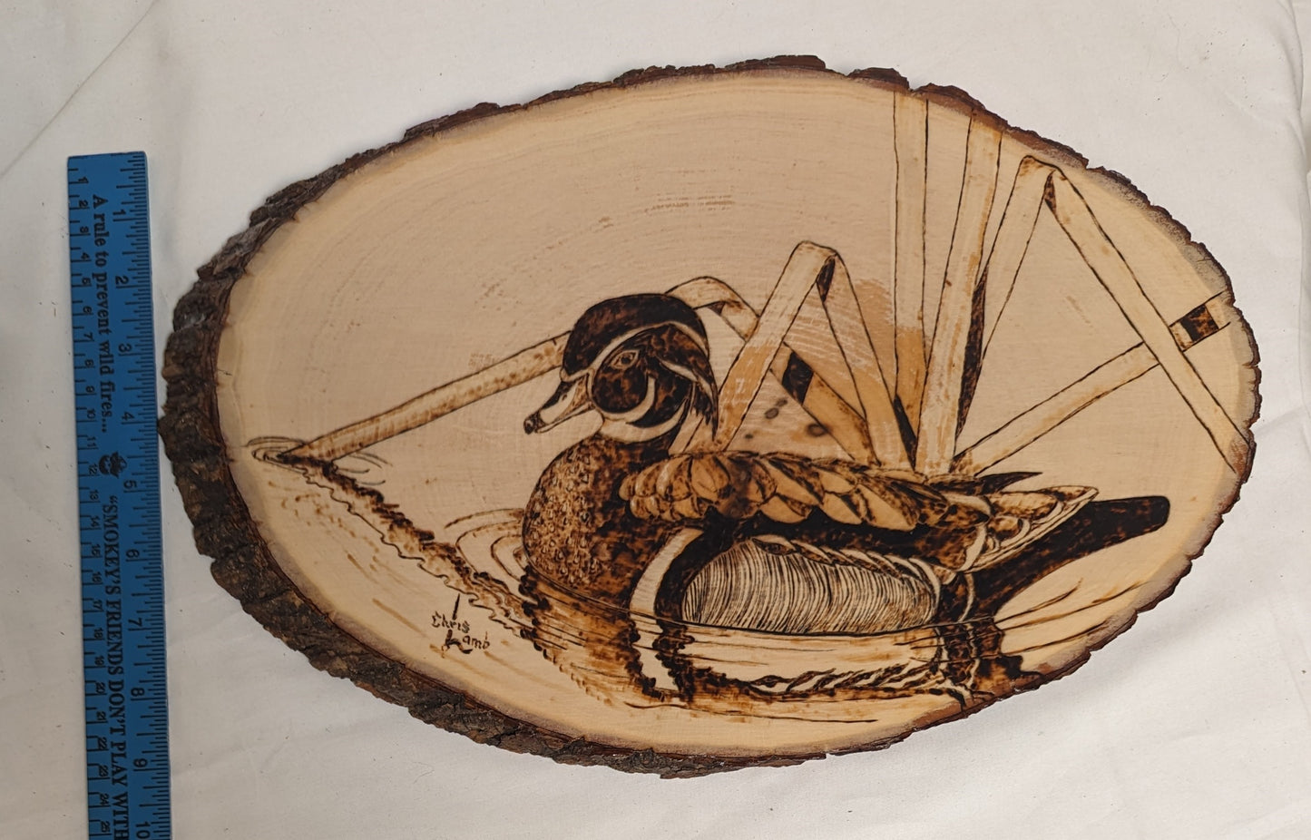 Art Rare Handmade Pyrography on live edge wood " Wood Duck" wall hanging Autographed