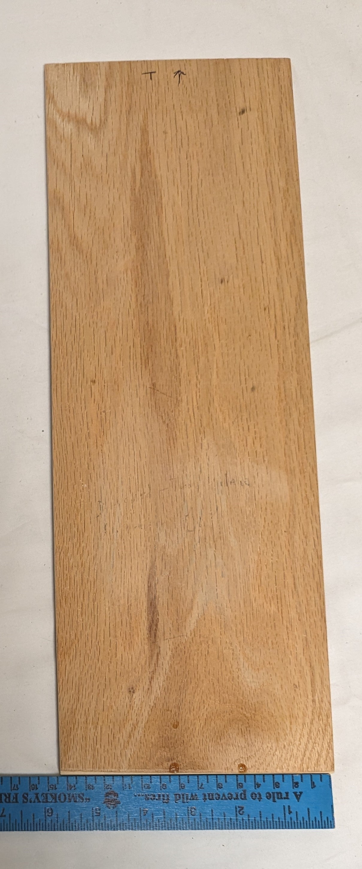 Art Rare Handmade Pyrography on wood "Native American Portrait"