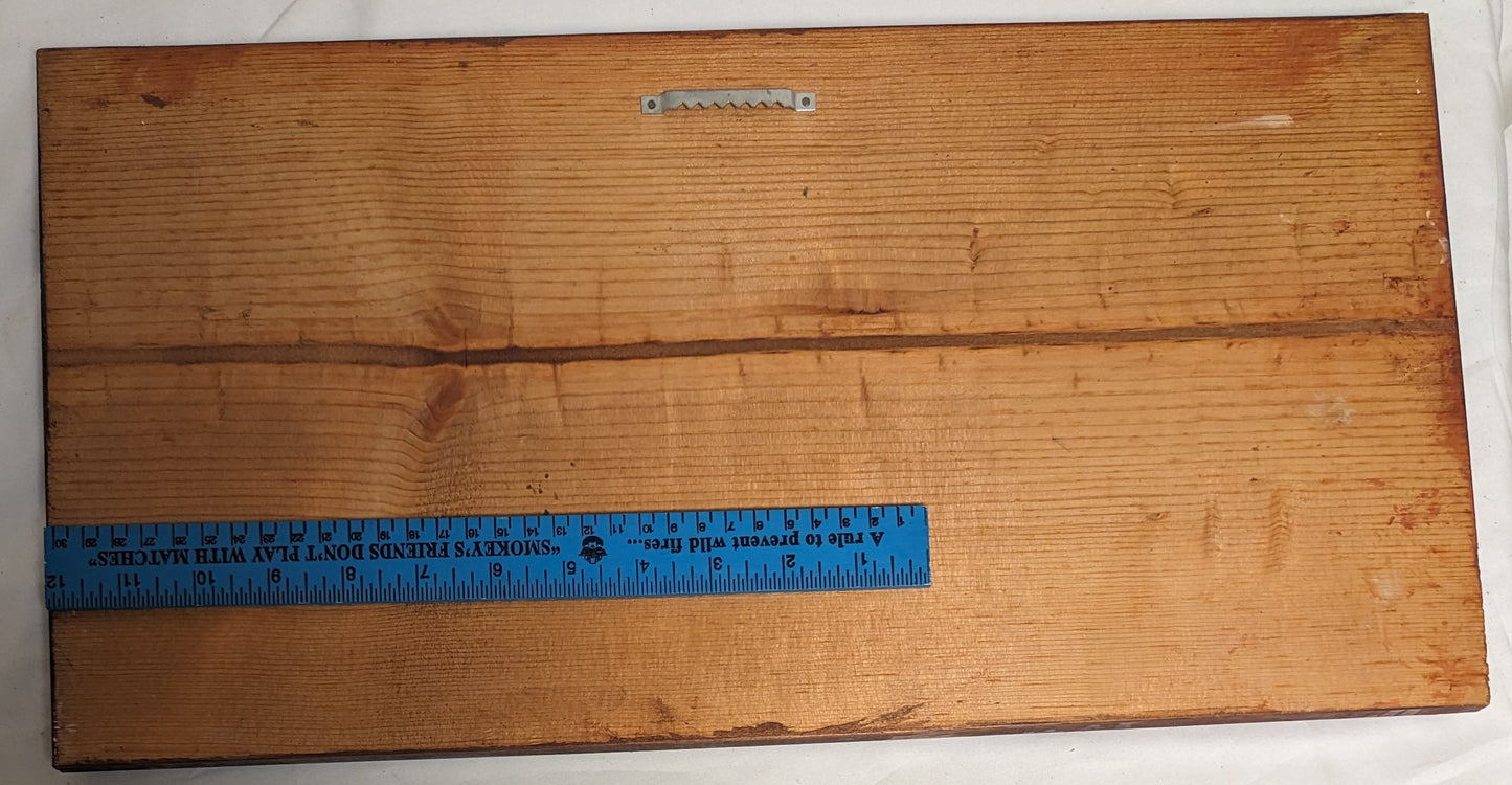 Art Rare Handmade Painting on wood "Racoon in Watermellon" Wall hanging Autographed