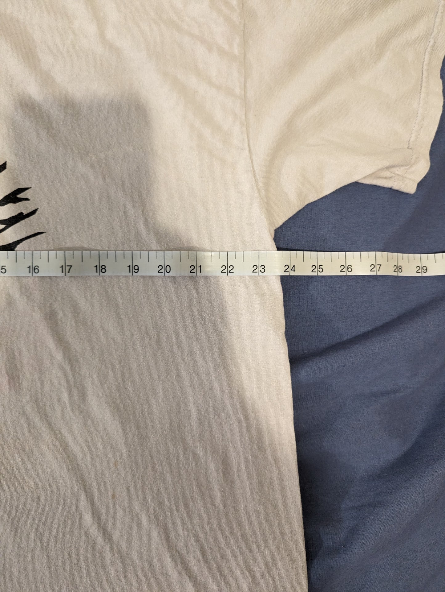 SongShirt Widespread Panic Pigeons XL